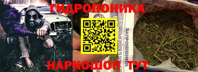 ГАЛЛЮЦИНОГЕННЫЕ ГРИБЫ Пугачёв