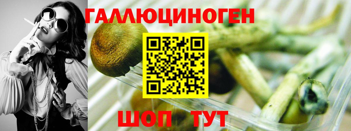 Галлюциногенные грибы Psilocybine cubensis  Псилоцибиновые грибы прущие грибы  Тавда  Вход с VPN 